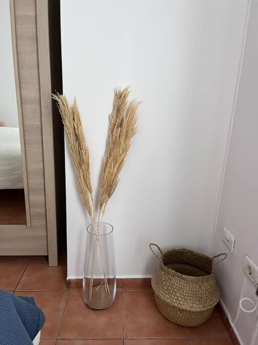 Ferienwohnung Casa Lunita Arona  Exterior foto